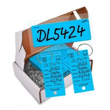 Blank Versa Consecu-Tag - 125 Key Tags with Key Rings - Window Windshield Sti...