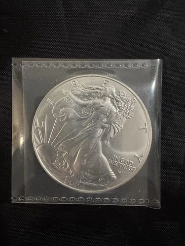 2024 American Silver Eagle $1 – 1 oz .999 Fine Silver – Uncirculated BU US Mint