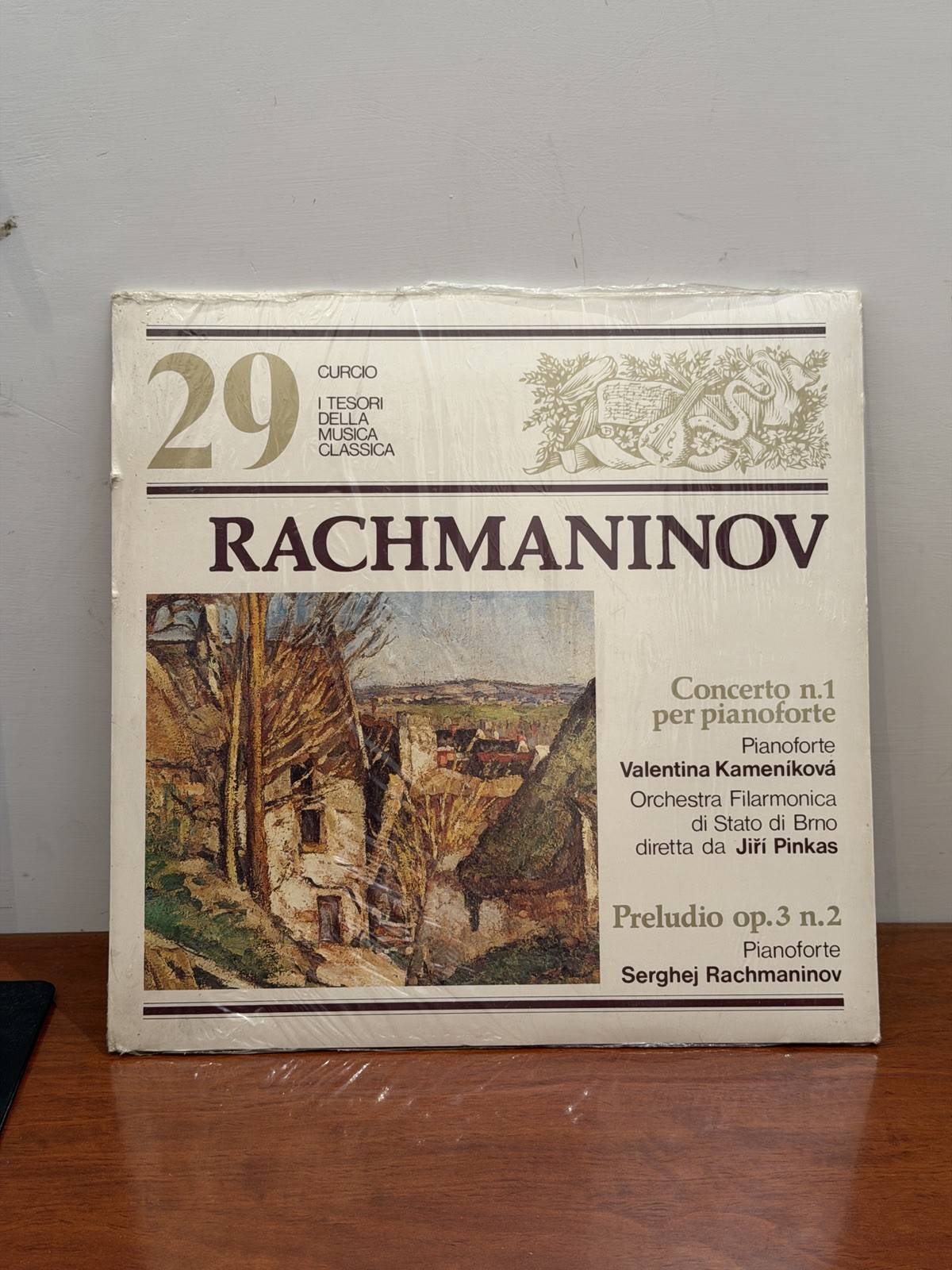 dischi in vinile