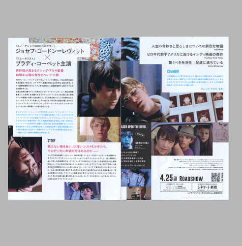 Doom Generation Nowhere Mysterious Skin 2Set (R2024) B5 Flyer Poster Gregg Araki - Picture 4 of 4