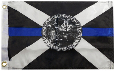 Bandiera Dello Stato Della Florida Illustrazione Di Stock - Illustrazione Di Segno, Concetto - Foto 11