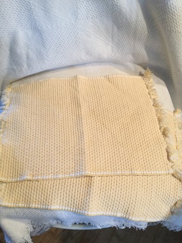 Shyam Ahuja Set Of 2 Cotton Woven Place Mats yellow 17”x12” VGUC - Picture 2 of 7