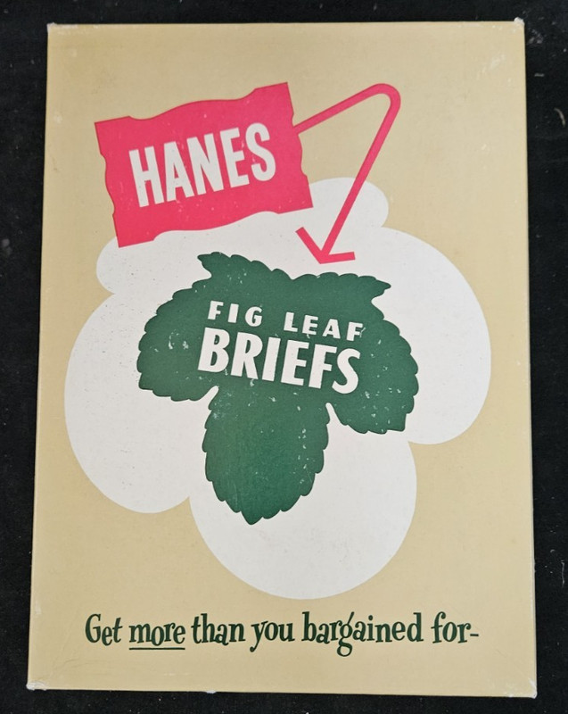 Vintage HANES National Underwear Empty Box ~ "Fig Leaf Briefs"