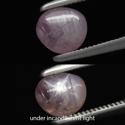 1,30 ct 5,5 x 4,2 mm fantasia cabochon naturale non riscaldato viola 6 raggi stella zaffiro, bur