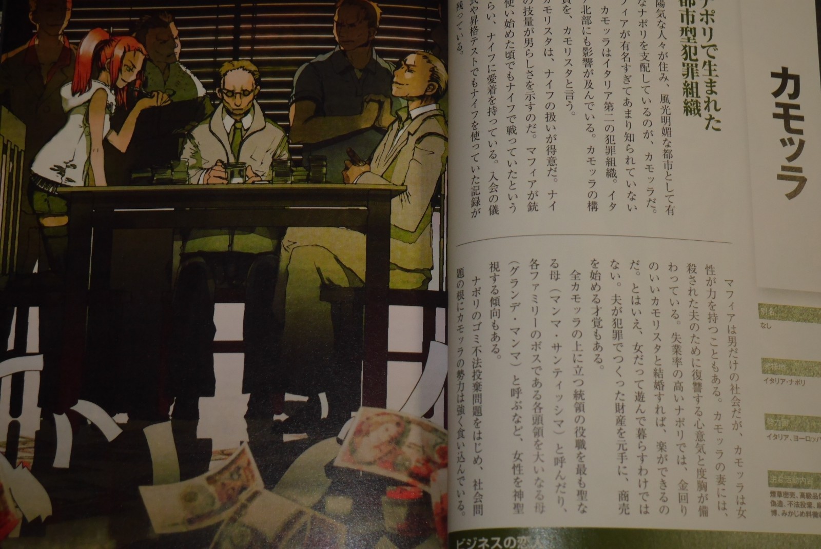 Japan Mafia No Sekai Kanzen Bible Book Illust Rei Hiroe Shirow Miwa Etc Ebay