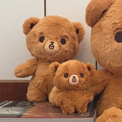 NCT ヘチャン 40cmぬいぐるみ イコムド マスター 이곰도 NCT ヘチャン