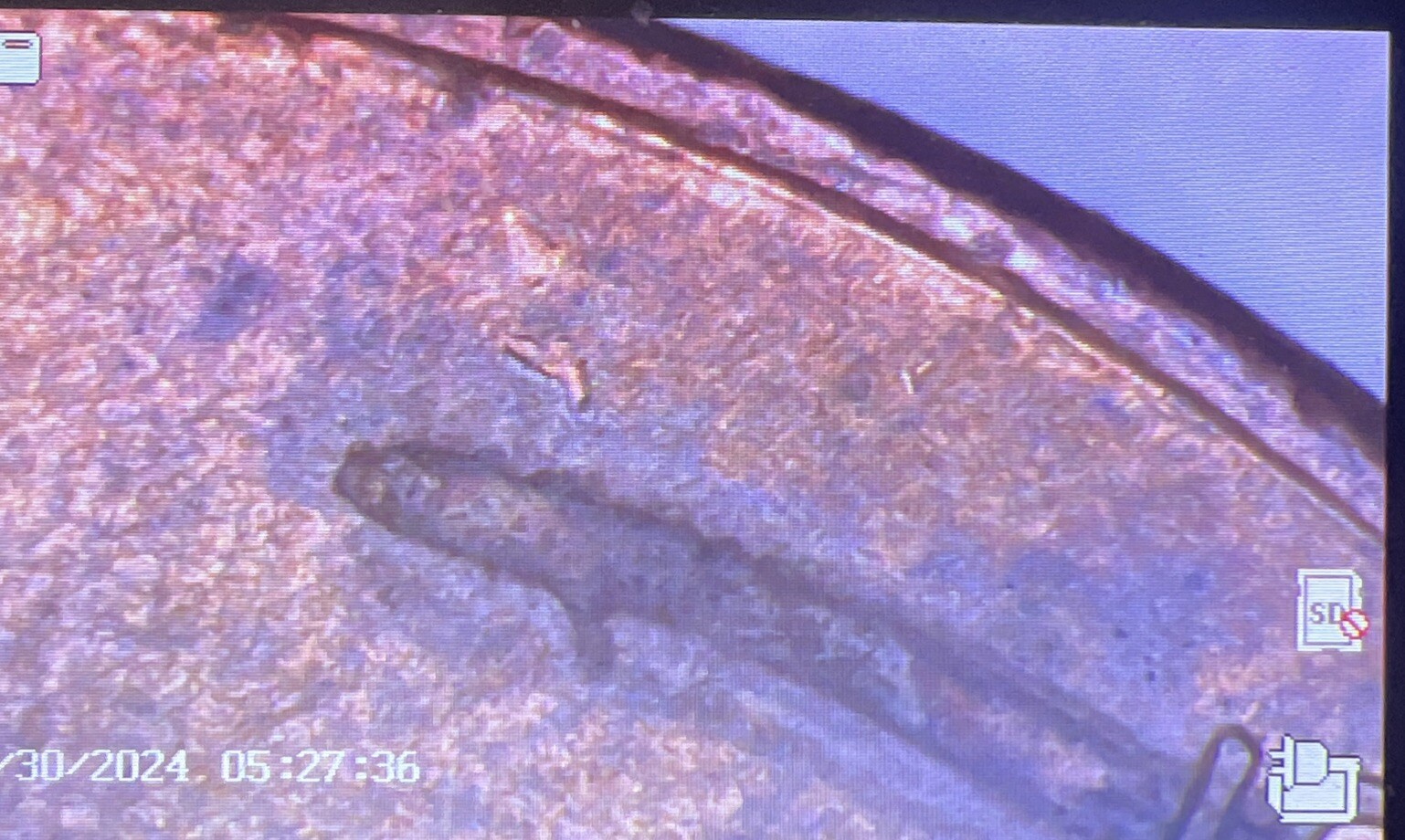 Picture 8 of 13