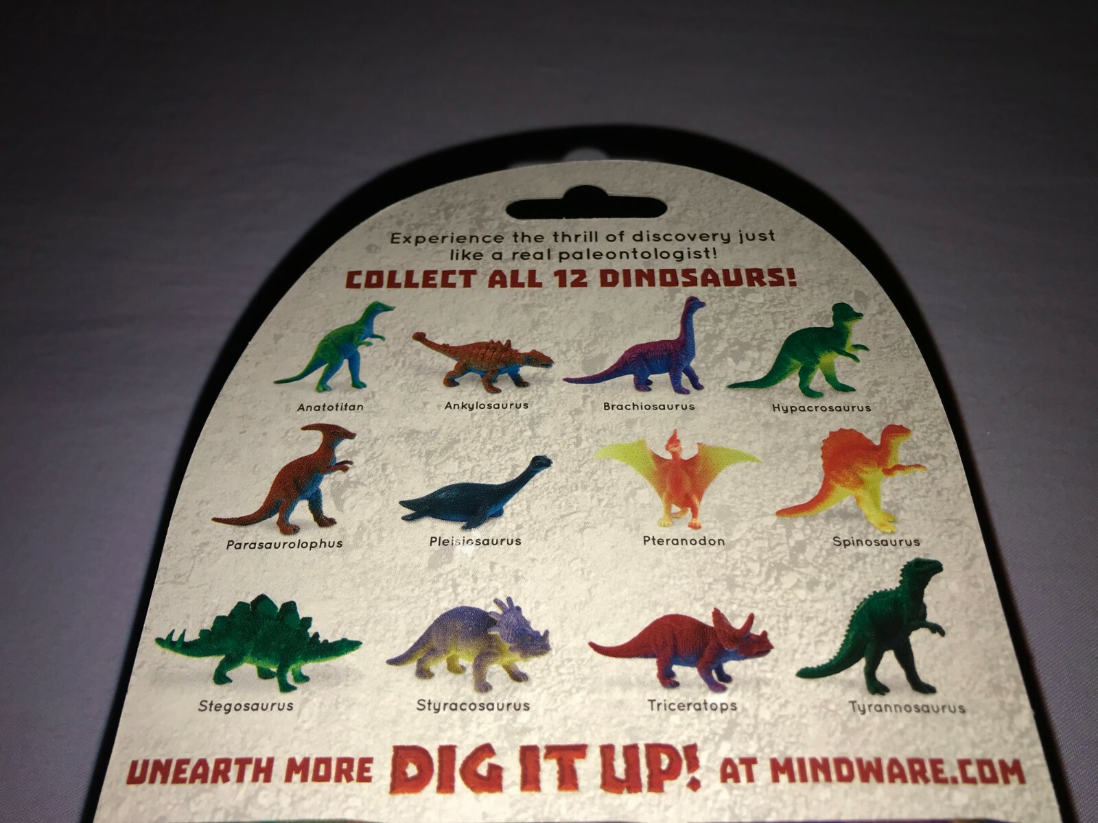 mindware dinosaur eggs