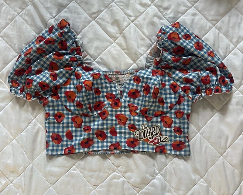 Wizard Of Oz Blue &white Gingham Crop Top 1x