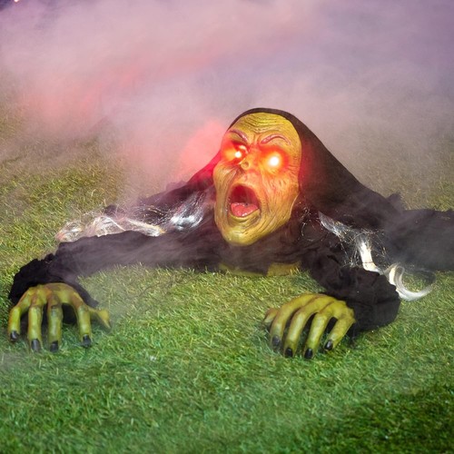 Halloween decoratie nodig? Pompoenen, spinnen en skeletten
