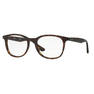 ray ban reading glasses
