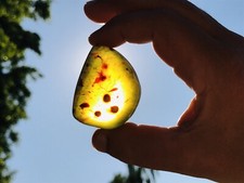 Ocean Blue Jasnozielony Żółty Bursztyn Bermudy Karaiby Zielony Niebieski Żółty