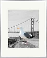 16x20 Aluminum Metal Picture Frame with Ivory Color Mat for Display 11x14 Photo