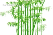 Chinese 100% real natural silk thread,su hand embroidery kits:bamboo 12"