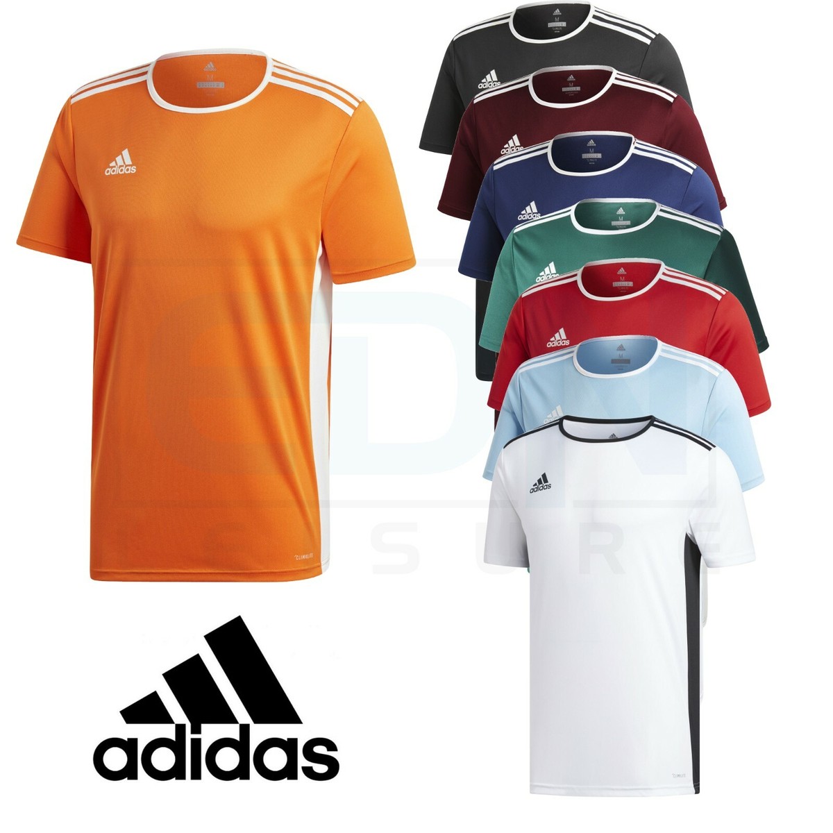 adidas entrada arancione