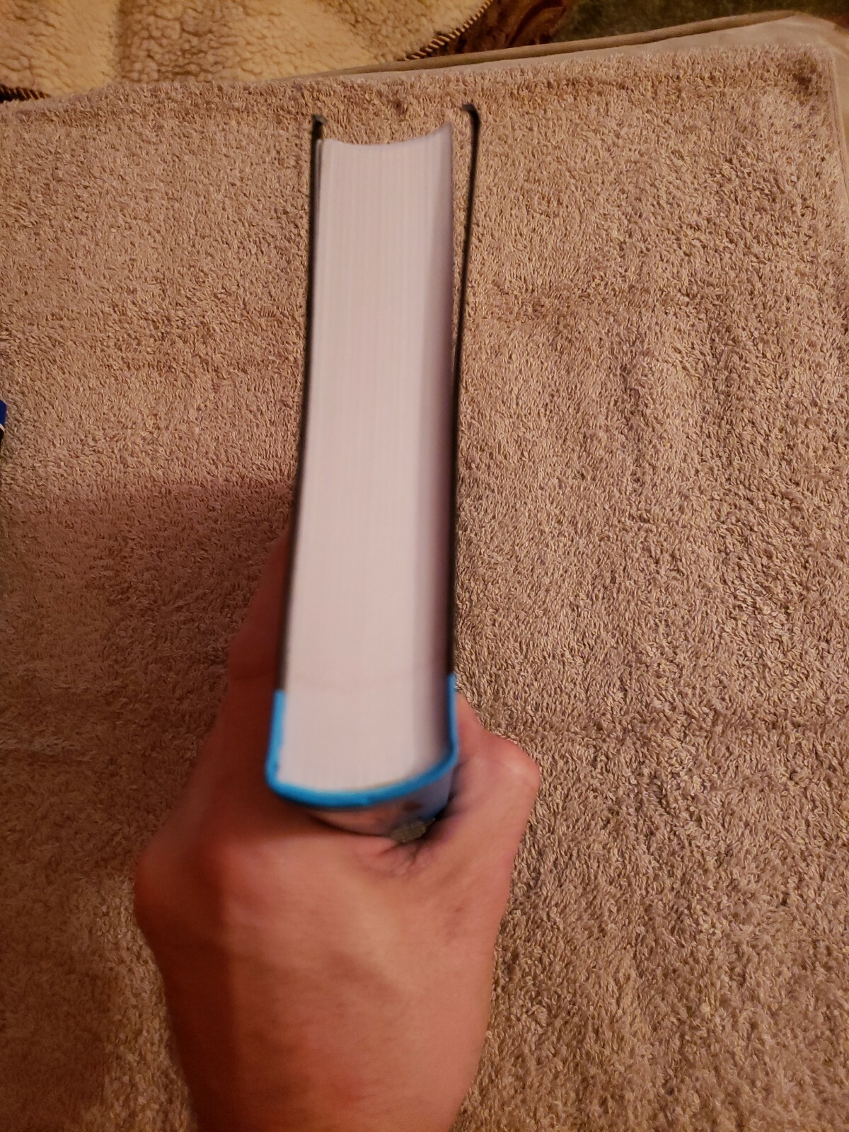 Picture 5 of 12