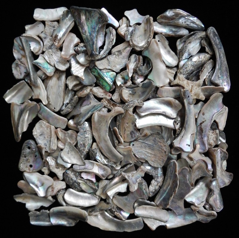1 lb Lot of Natural Abalone Shell Pieces – Jewelry, Inlay, Craft Supply