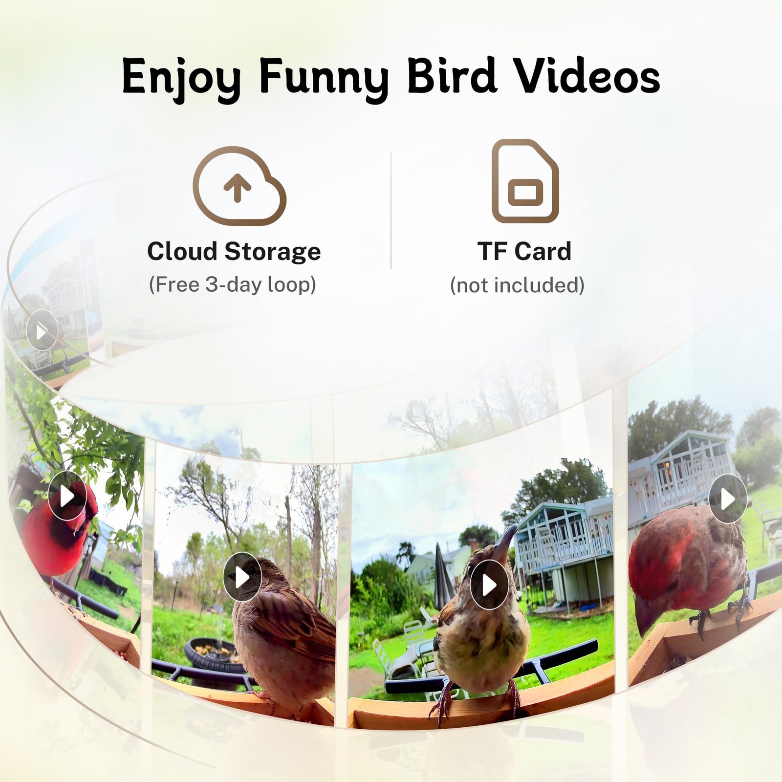 Bird Feeder with Camera, Upgraded Smart Bird Feeder Al Identify for 10000 Spe...
