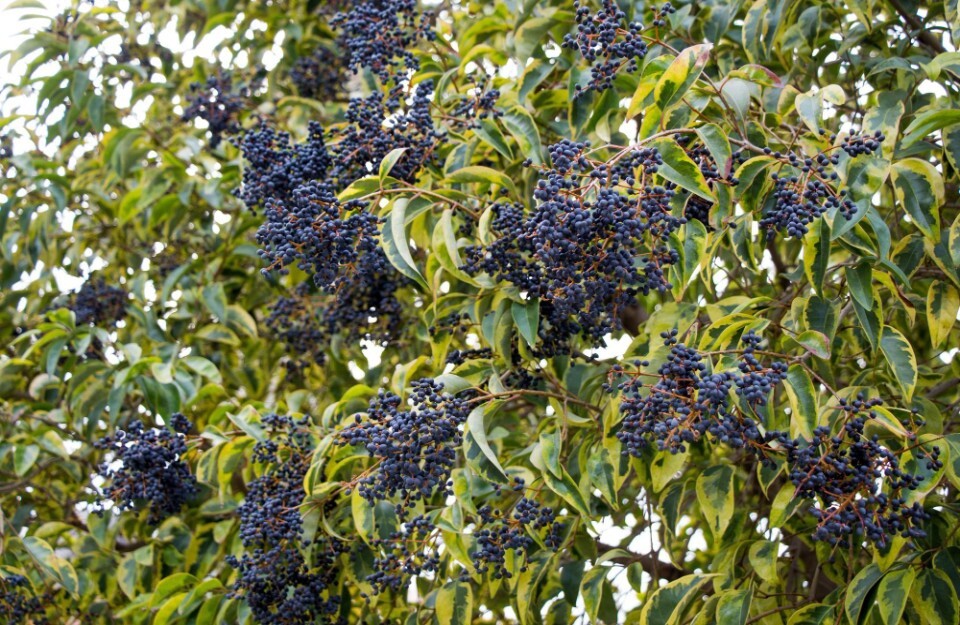 Picture 6 of 7