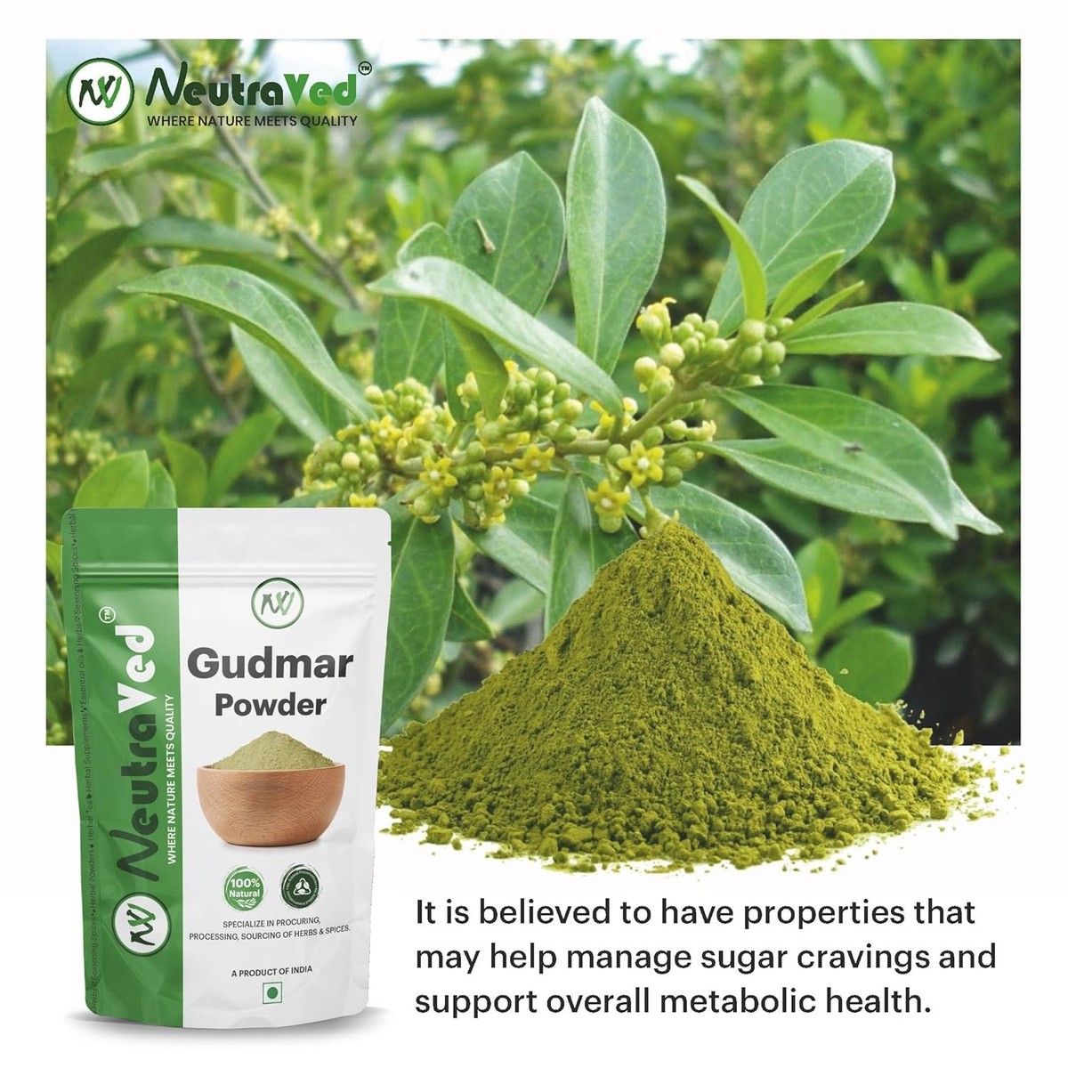 NeutraVed Gudmar Powder 200gm
