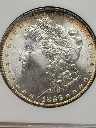 1886 $1 Morgan Dollar NGC MS65 Toned