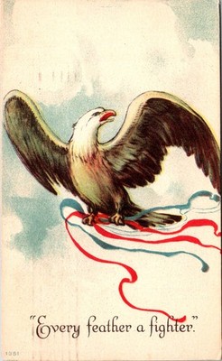 Postcard Every Feather a Fighter Patriotic Eagle Ribbons Junction City KS1917WWI