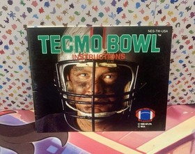 tecmo bowl nes cib