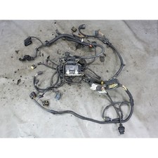 2015-2018 BMW F80 M3 F82 M4 S55 Module 1 Engine Electrical Wiring Harness OEM