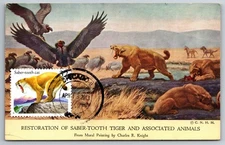 #3080 Pre-Historic Animals Saber-Tooth Cat Maxi Card
