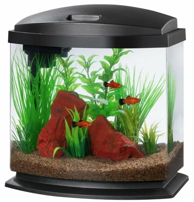2.5 hotsell gallon aquarium