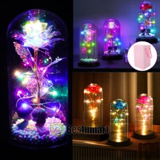 Rose LED Light Glass Mother's Day Gifts for Wife Women Mom Valentines Girlfriend