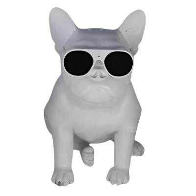 AeroBull Wireless Speakers HD1 & XS1 Stationary Type