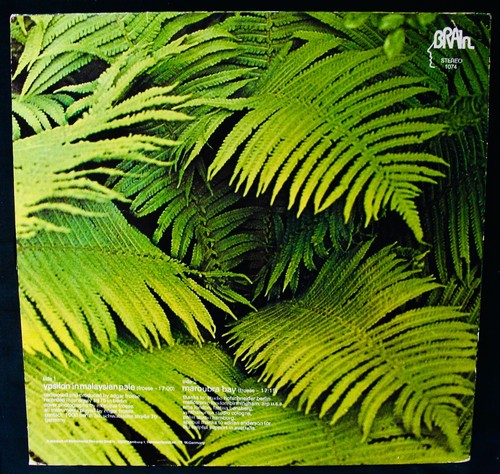 EDGAR FROESE: Ypsilon In Malaysian Pale Album~BRAIN #0001. 074 (Germany) N Mint - Picture 5 of 5
