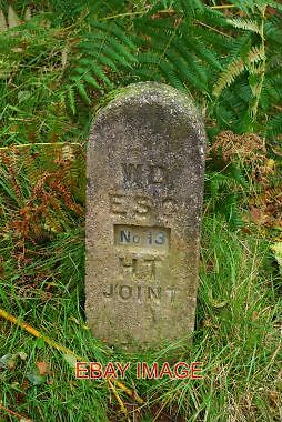FOTO GLENRIDDHT GELENKMARKER NUMMER 13 2011