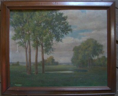Oil Painting Unreadable Signed° Trees At River ° Antique Frame Meadows