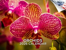 Orchids Calendar 2026 12x18 Made in USA