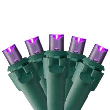 Northlight Set of 50 Purple LED Wide Angle Christmas Lights - Green Wire
