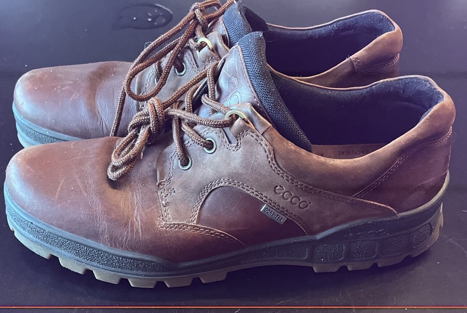 ECCO Track Low GoreTex Hiking Shoes Mens USA 12 EU 46 Waterproof Brown