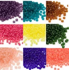 200 Matsuno 6/0 Glass Seed Beads Frosted Translucent & Inside Color Seed Beads