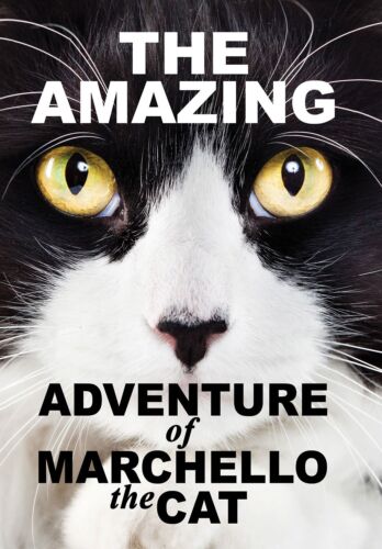 The Amazying Adventure of Marchello The Cat (DVD) Dominiques Swain Jeremy Piven - Picture 1 of 1