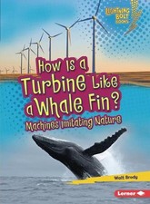Walt Brody How Is a Turbine Like a Whale Fin? (Paperback) (UK IMPORT)