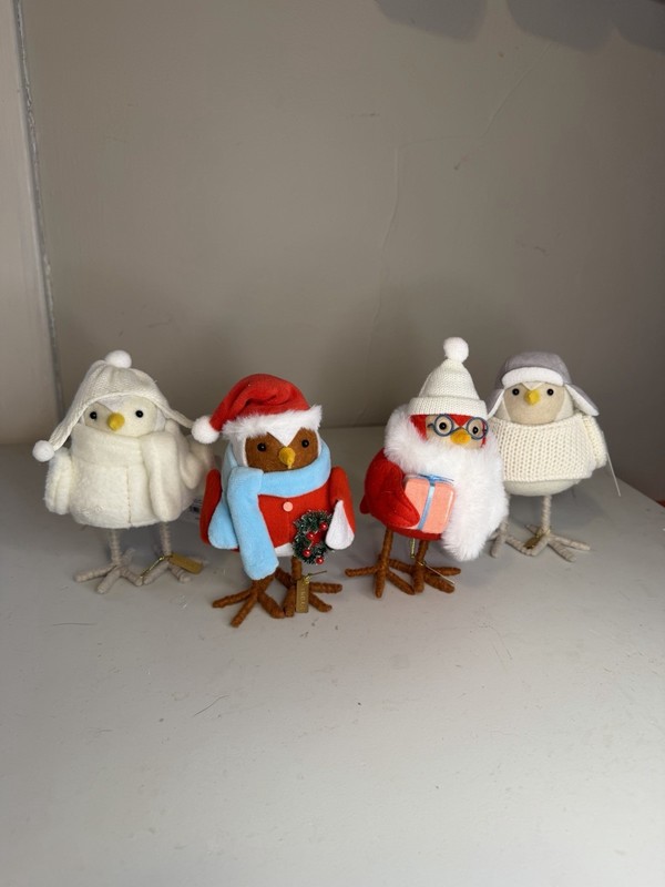 Christmas Wondershop Target Birds Set of 4, 2023 Bay Brook Crinkle & Ginger