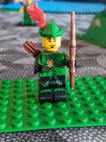 Custom Sherwood forest  display