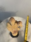 Vintage 1950’s Plastic Statue - St. Joseph & Child Jesus 8” — photo 4