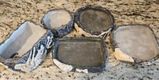 NEW Lot of 5 Reptology Reptile Lizard Snake Fossil Rock Food Water Dish Set