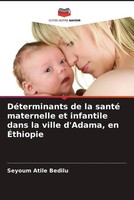 Seyoum Atile Bedilu | DéTerminants De La Santé Maternelle Et Infantile Dans...