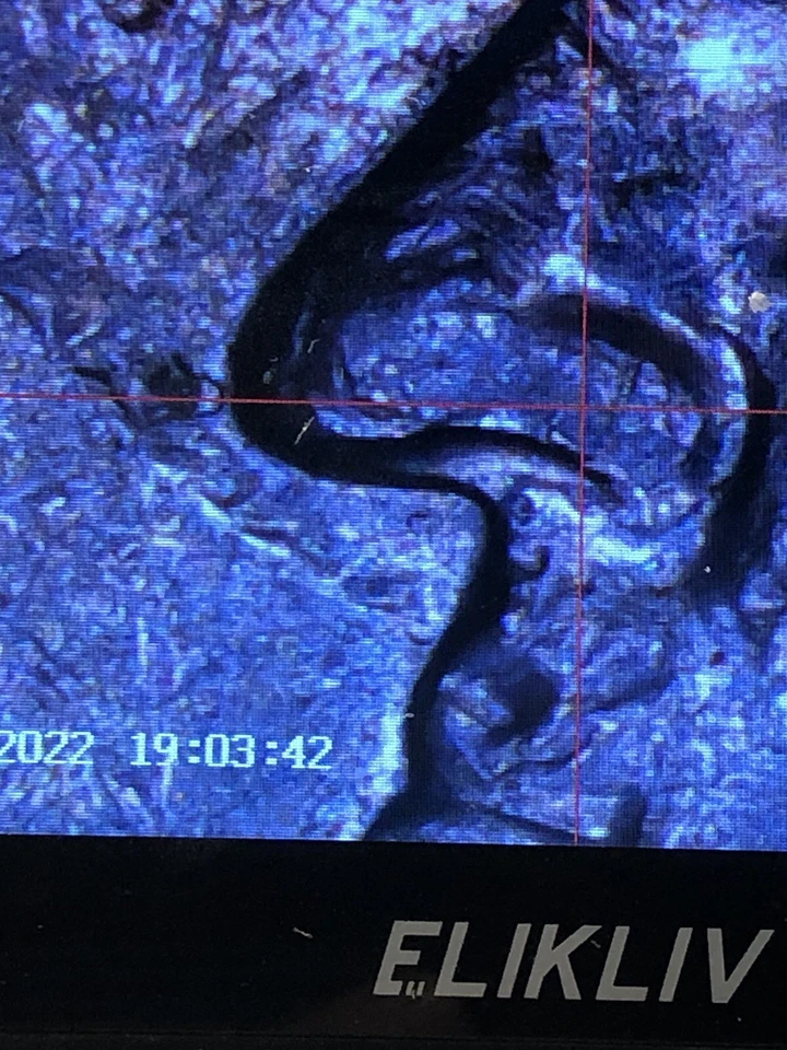 1998D 💯🔥quarter 💯🔥Double 💯🔥Ear Die Clash Amazing one of the best treasure￼ - Image 3 of 4