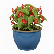 Blumentopf Pflanzgefäß aus Keramik Modell "Roma" 24cm Soft Blau