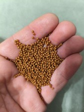 Confezione da 500 grammi di mangime per tartarughe acquatiche da 1 a 100 grammi