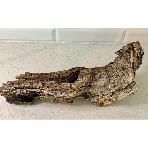 Weathered Mesquite Stump, Rustic Wood, Terrarium, Fairy Garden, Reptile Home